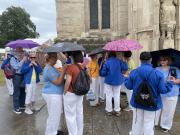 Umbrellas out in force